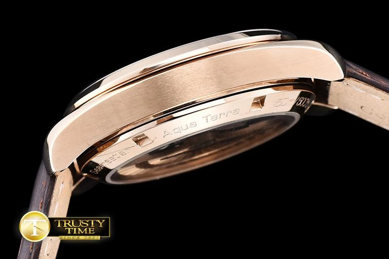 OMG0464G – Aqua Terra 38mm