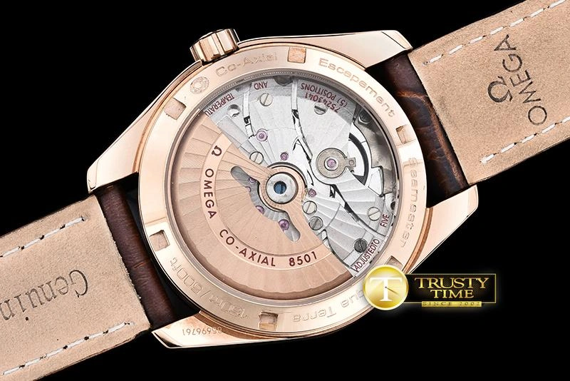 OMG0464I – Aqua Terra 38mm