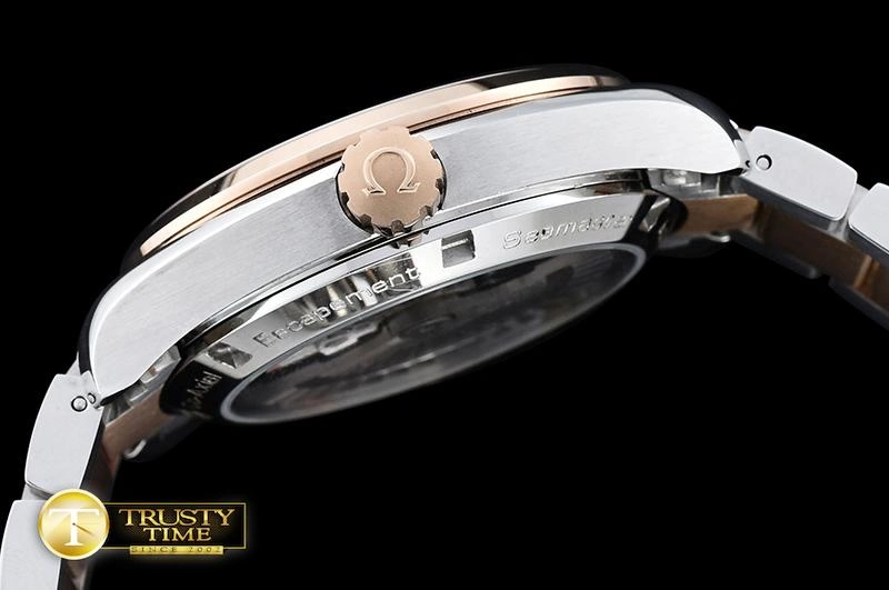 OMG0465A – Aqua Terra 38mm