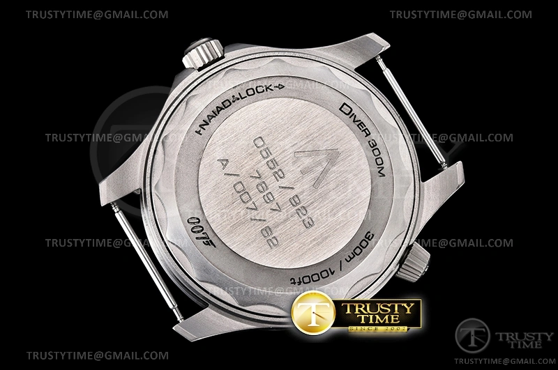OMG0688 – Seamaster 300m No Time To Die 007 TI SS ACF A2824