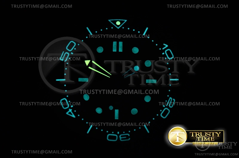 OMG0688 – Seamaster 300m No Time To Die 007 TI SS ACF A2824