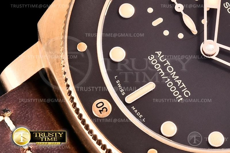 PN968LE – PAM 968 Submersible