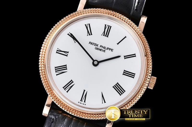 PP0256 – Calatrava