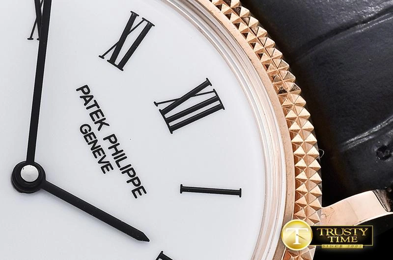 PP0256 – Calatrava