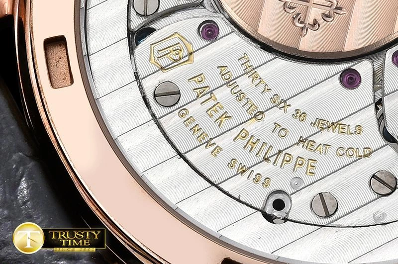 PP0256 – Calatrava