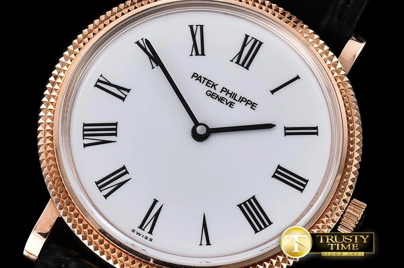 PP0256 – Calatrava