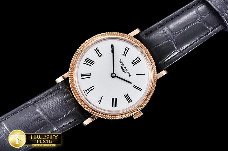 PP0256 – Calatrava