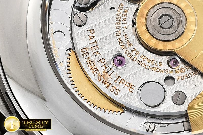 Repladies PP0263B – Complication