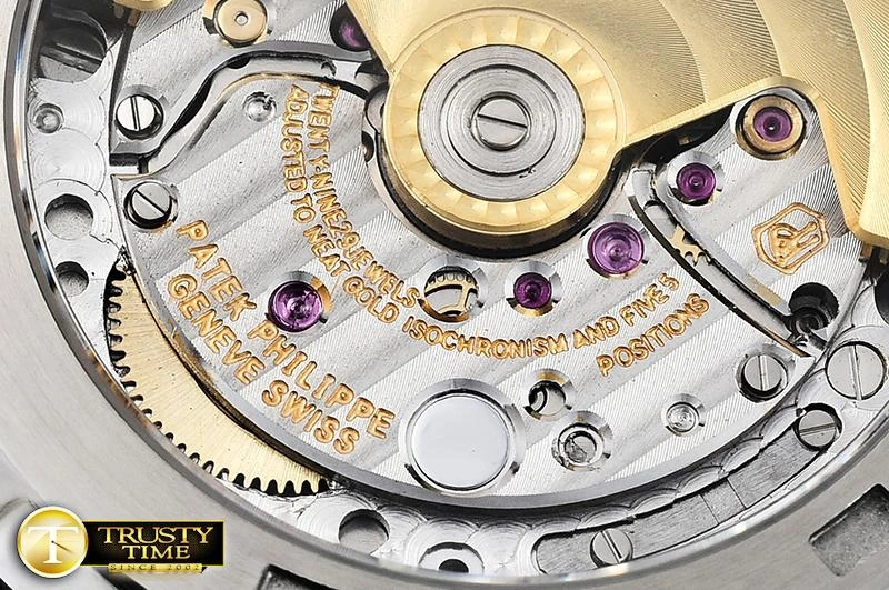 Affordable PP0301B – Aquanaut