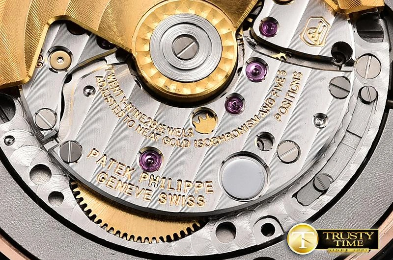 Hyper Peter PP0307 – Aquanaut