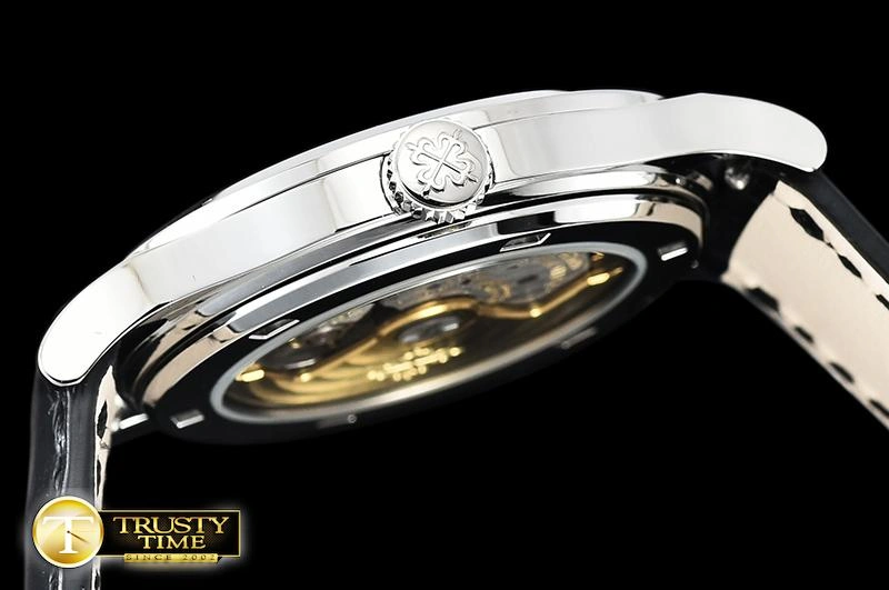 PP0310A – Calatrava