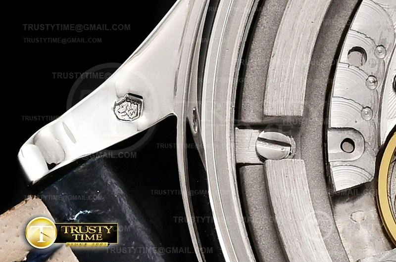 PP0312B – Calatrava