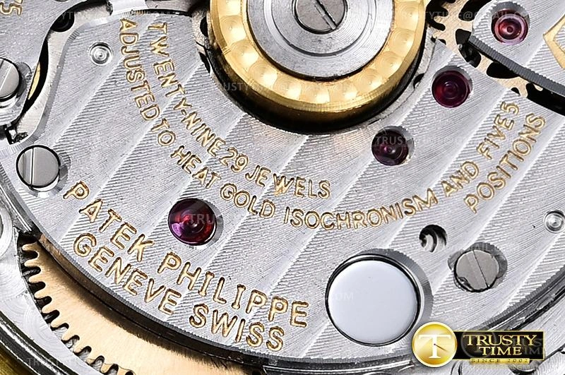 Hyper Peter PP0334A – Nautilus