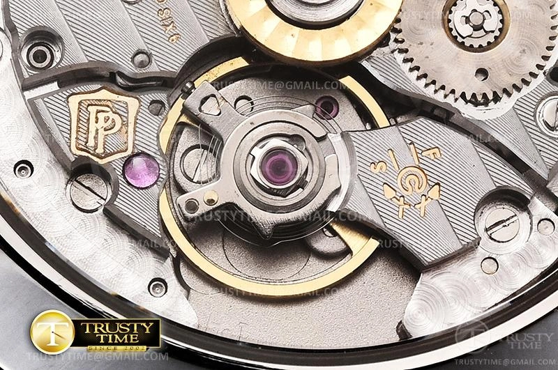 Rep PP0348A – Nautilus