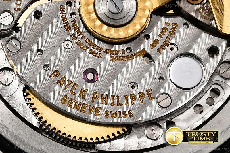 PP0351D – Nautilus