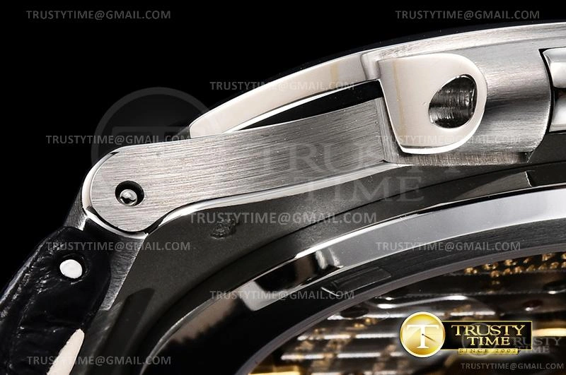 PP0356B – Nautilus