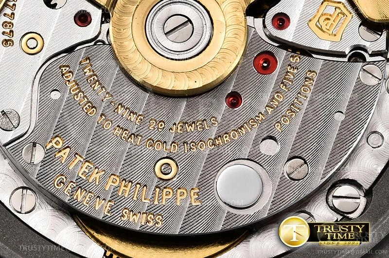 PP0356B – Nautilus