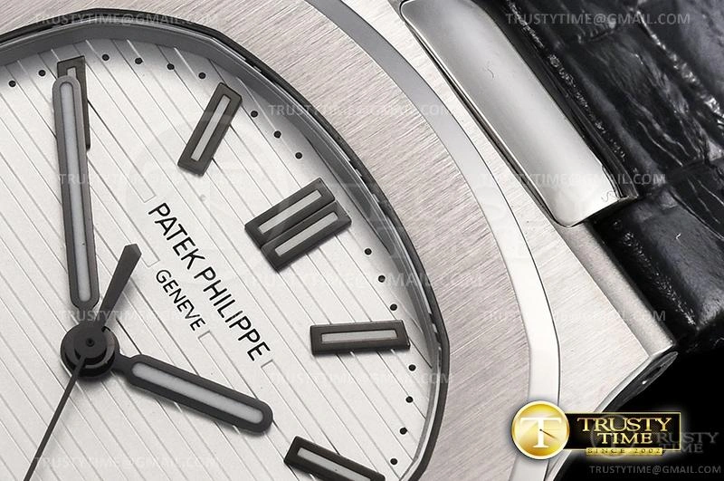 Affordable PP0356C – Nautilus