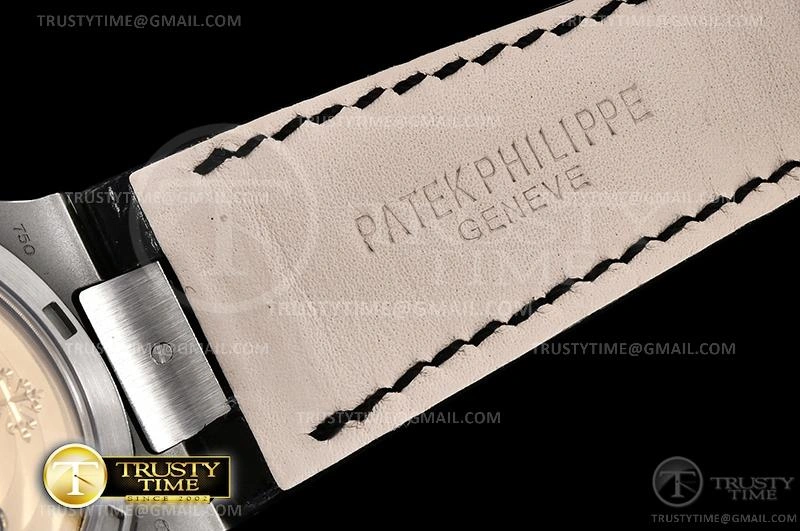 Affordable PP0356C – Nautilus