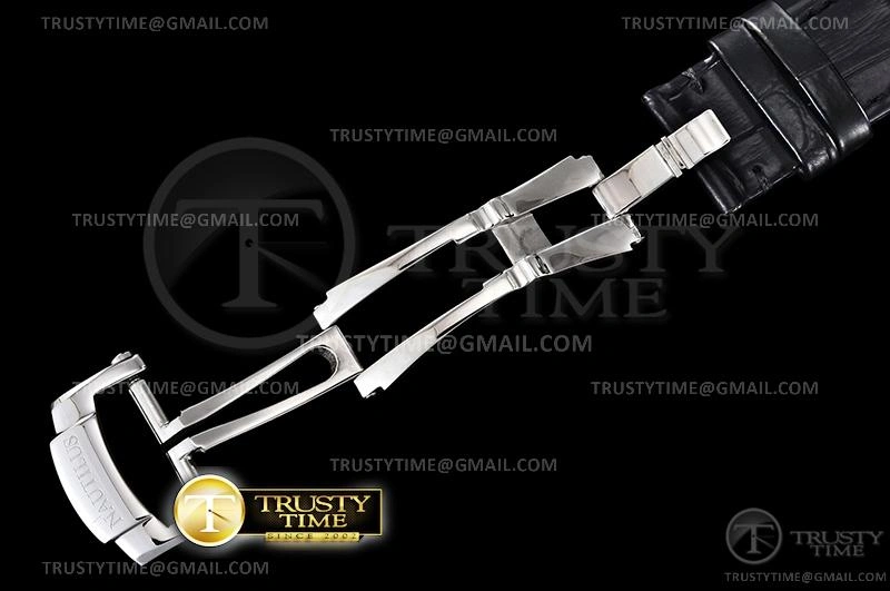 Affordable PP0363C – Nautilus