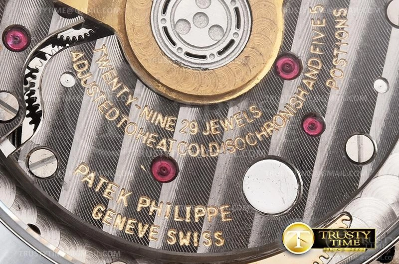 hype PP0364A – Nautilus