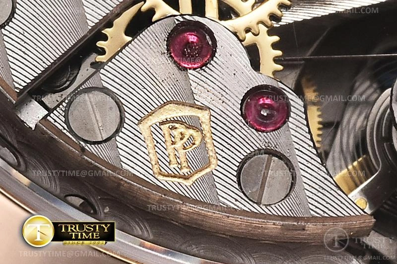 PP0364B – Nautilus