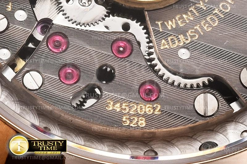 PP0364B – Nautilus