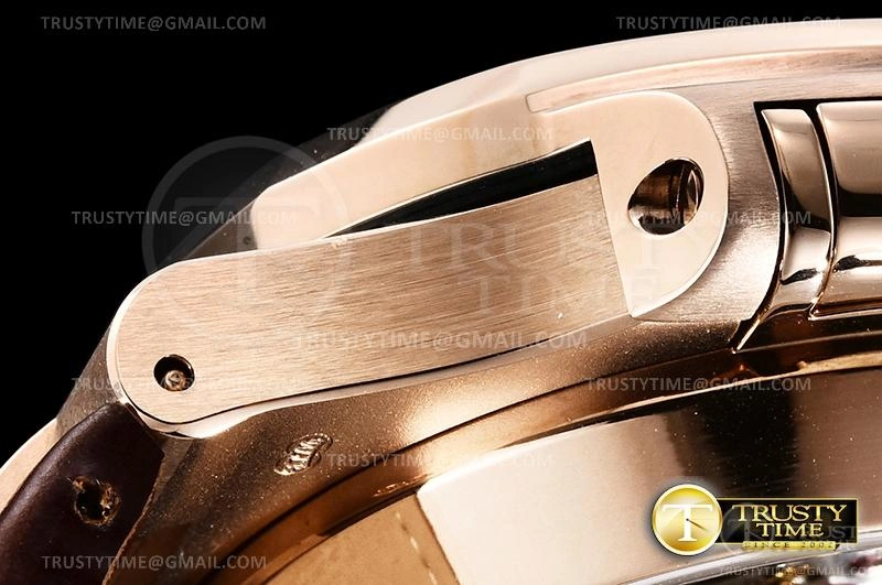 PP0364C – Nautilus