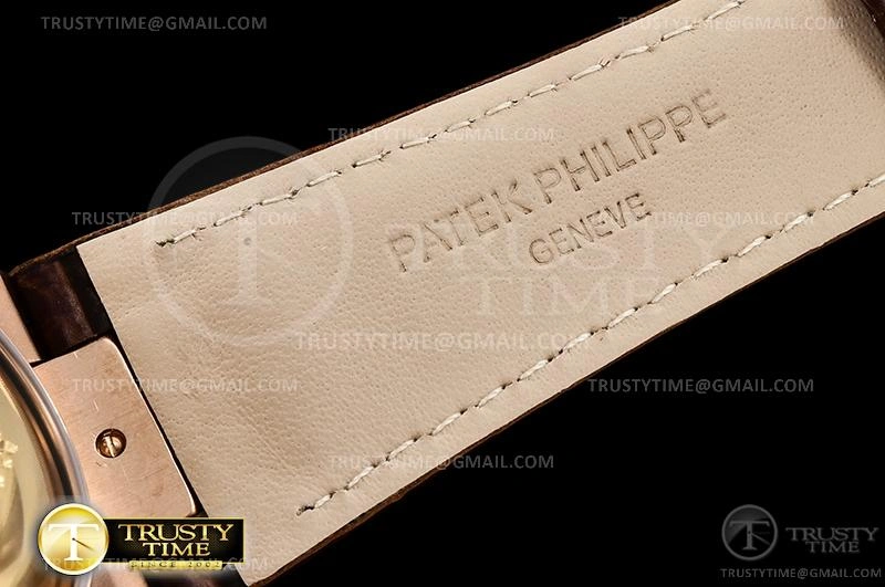 PP0364C – Nautilus