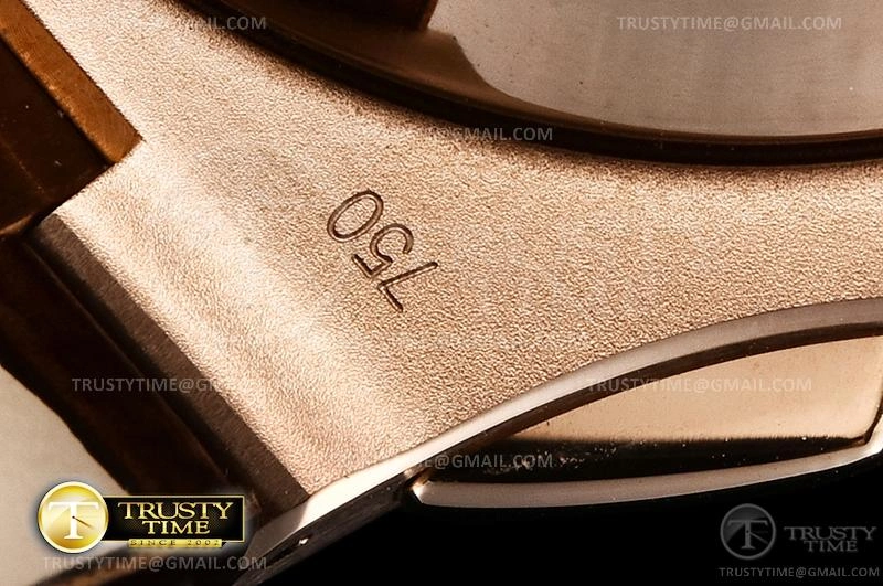 PP0364C – Nautilus