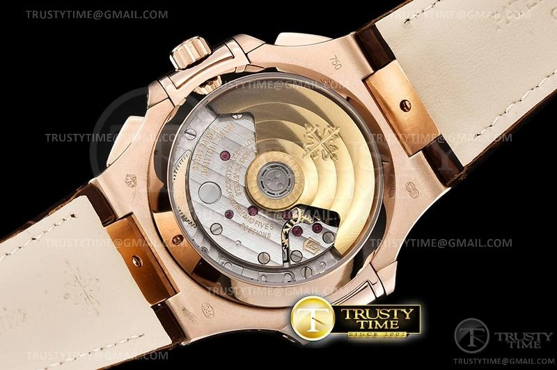 PP0364C – Nautilus