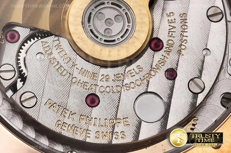 PP0364C – Nautilus