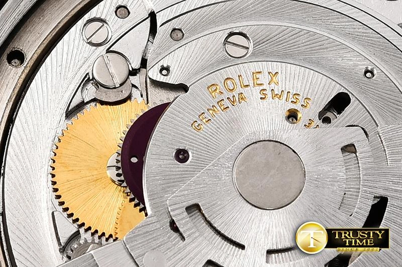 Hyper Peter ROLAK010