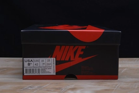 Parallel design AIR JORDAN 1 RETRO Lightweight 3040