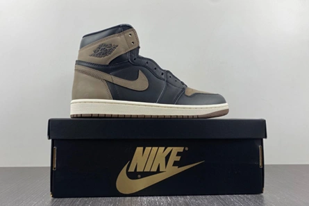 Air Jordan 1 High OG “Palomino” DZ5485-020 Sophisticated 4444