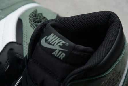 Parallel design Air Jordan 1 Retro 