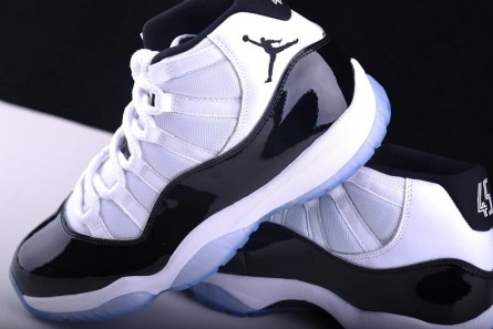 Designer inspired Air Jordan 11 