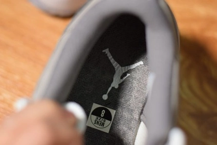 Style match Air Jordan 11 Low Cool Grey 528895-003 EasyMatch 8810
