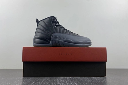 Air Jordan 12 “Black Wolf Grey” CT8013-019 Classic 8923