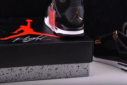 Inspired design Air Jordan 4 “Royalty” 308497-032 Fashionable 2417
