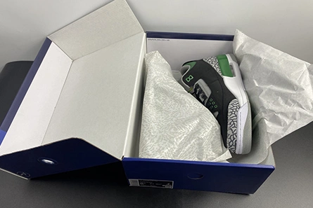 Replica Air Jordan Retro 3 Pine Green CT8532-030 StreetReady 2222