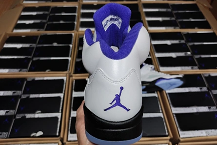 Luxury copy Air Jordan5 CONCORD DD0587-141 Fashionable 2415