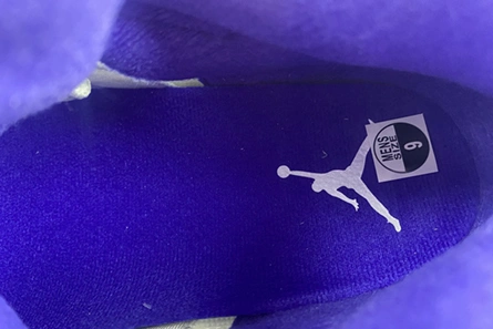 Luxury copy Air Jordan5 CONCORD DD0587-141 Fashionable 2415