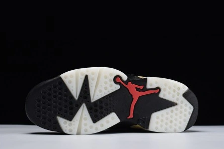 Economical AllSeason 5869 Jordan 6 Retro Chinese New Year (2018) AA2492-021