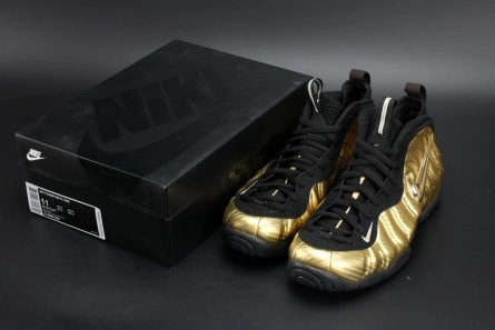 Premium replica AllSeason 9633 Air Foamposite Pro 