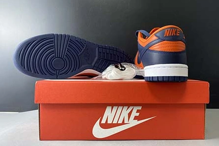 Bold 8560 Nike Dunk Low SP CU1727-800