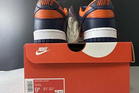 Premium replica Bold 8560 Nike Dunk Low SP CU1727-800