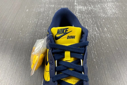 Budget-friendly Bright 216 Nike Dunk Low Disrupt 2 Michigan (Women's) DV4024-400