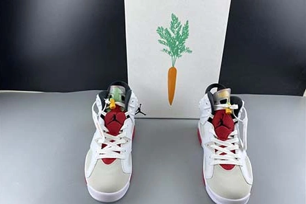Affordable Comfortable 4906 Air Jordan 6 “Hare” CT8529-062