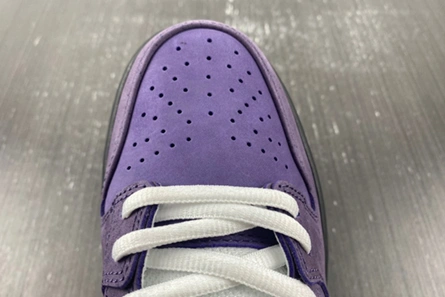 Style match Compact 1623 Nike SB Dunk Low Concepts Purple Lobster - BV1310-555